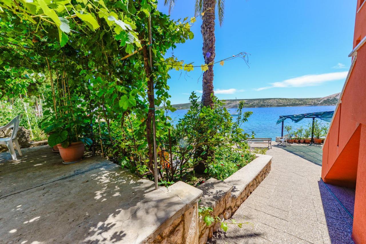 Apartments Amfora - Cozy And Modern Apartments For Up To 15 People, 100M From The Sea And Beach Stara Novalja Extérieur photo